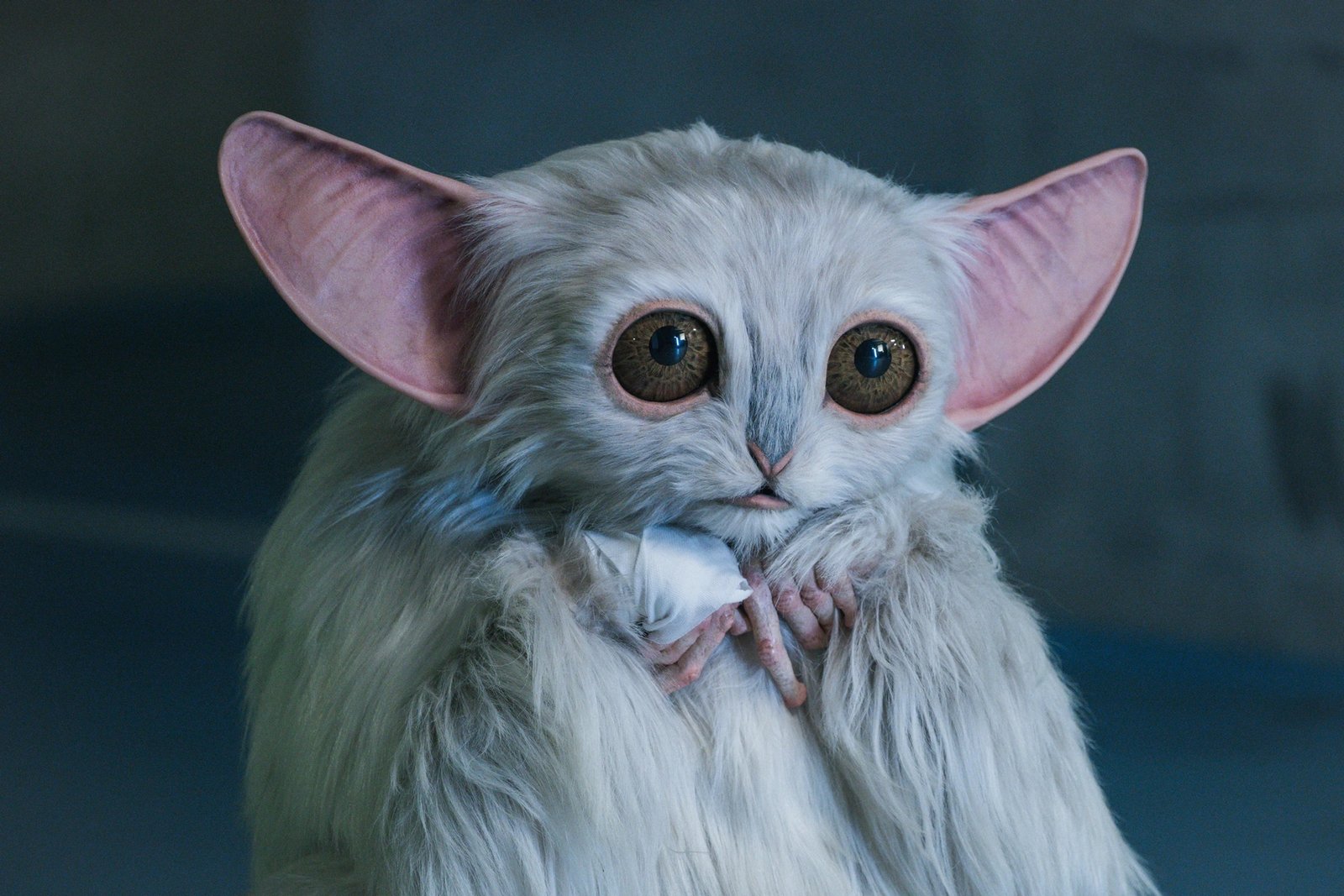 What Did You Think of Doctor Who: The Star Beast?